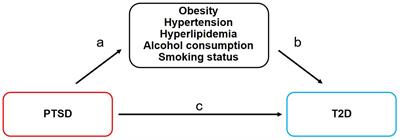 Effect of post-traumatic stress disorder on type 2 diabetes and the mediated effect of obesity: a Mendelian randomization study